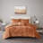 Comforter Set With Throw Pillow