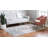 Oriental Indoor Rug-1095692605