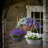 Pollyanna Hanging Planter-182028668-182028643