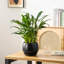 TYHPOT Ceramic Pot Planter-1035786449