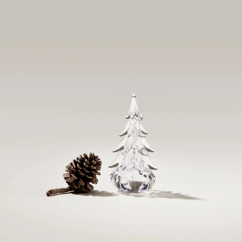 Five-Sided Evergreen, 6 inch