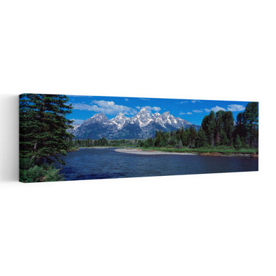 Snake River & Grand Teton Wy Usa, art contemporain abstrait pin, montagne, arbre mural