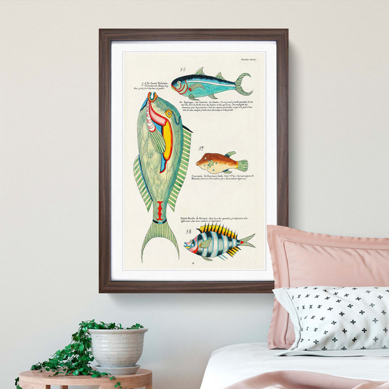 East Indies Fish Illustrations Douzieme by Louis Renard - Picture Frame Painting Print, Walnut Framed