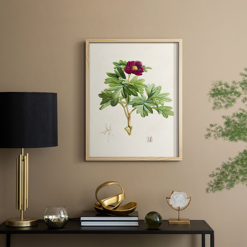 «Pretty Pink Botanicals III», reproduction encadrée - bois massif, Naturel, H 30 po x l 24 po