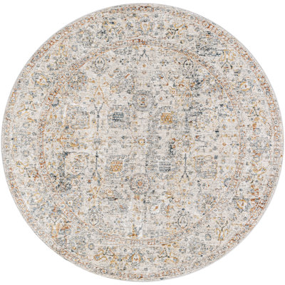 Oriental Indoor Rug