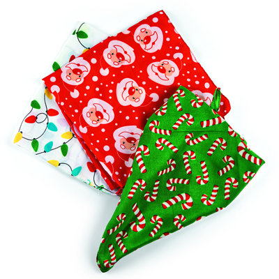 Areej Christmas Photo Props
