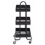 Raines Metal Bar Cart