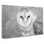 Barn Owl - Wrapped Canvas Painting-56657858