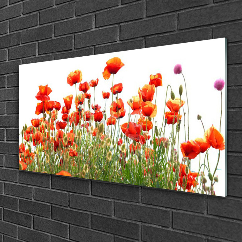 Glasbild Poppies Nature