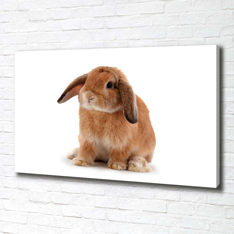 Red-Haired Rabbit - Wrapped Canvas Print