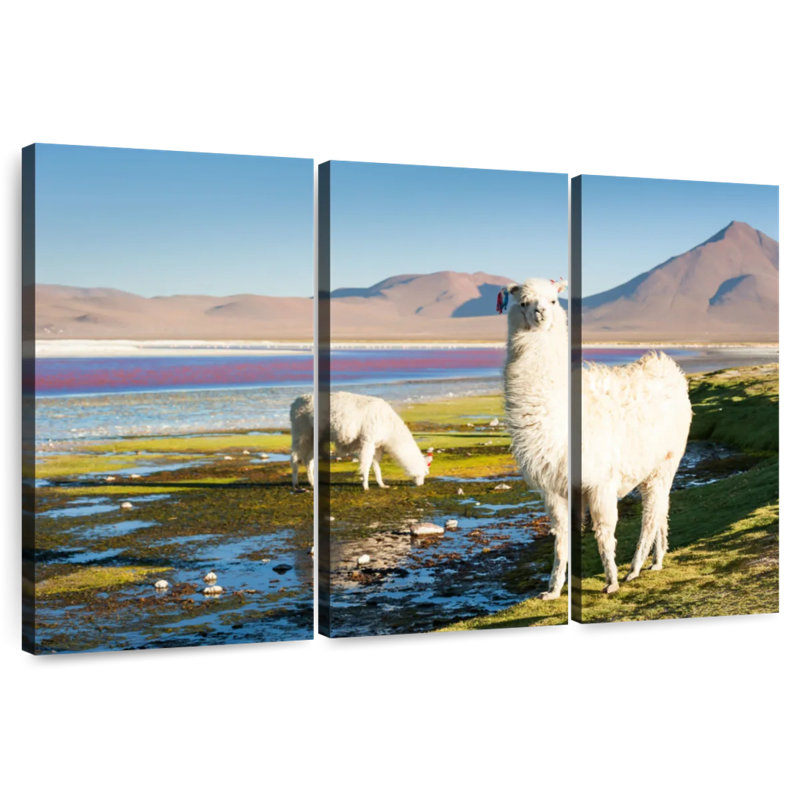 Brampt Laguna Colorada Alpacas, H 32 po x l 50 po