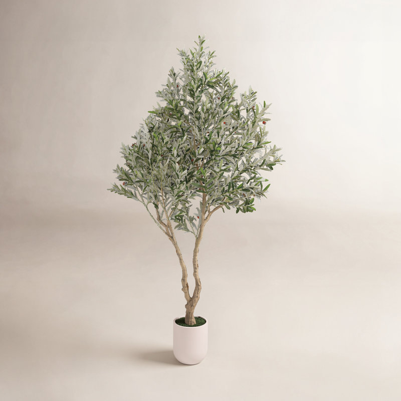 Olive artificielle Ashwell avec pot blanc, 98,4 po x 12,9 po