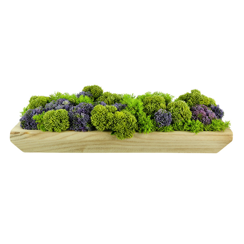 Sedum and Moss Arranged in Wood Planter, Purple
