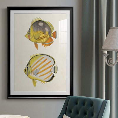 " Yellow & Grey Fish IV "