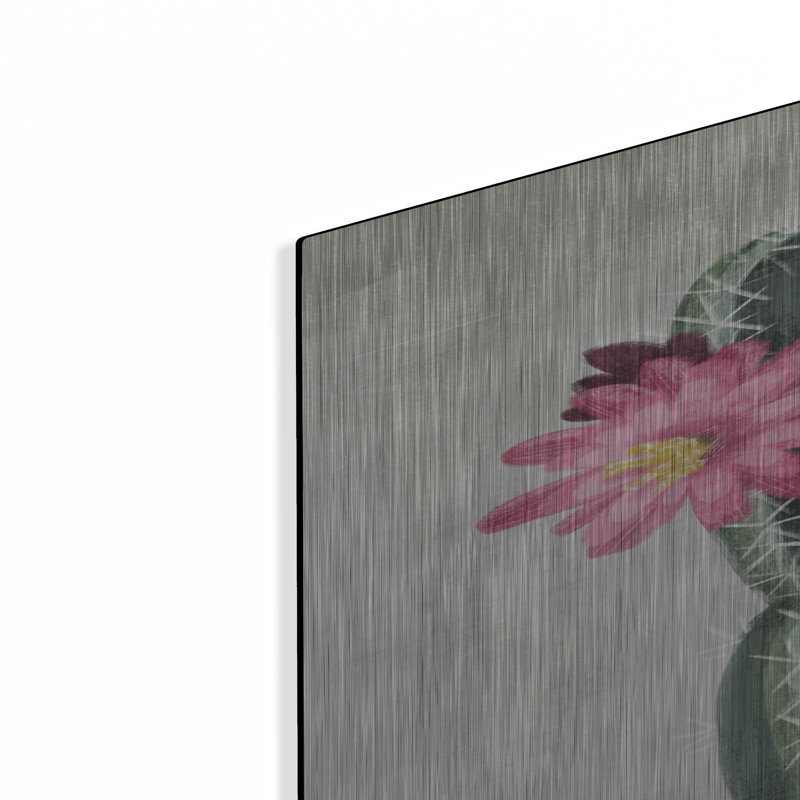 «Flowering Cactus» par House Fenway, H 36 po x l 24 po