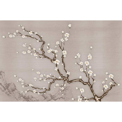 Murale lisse