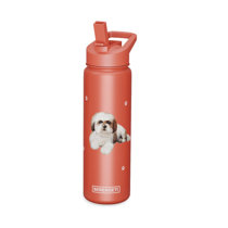 Wayfair  Beige Water Bottles You'll Love in 2024