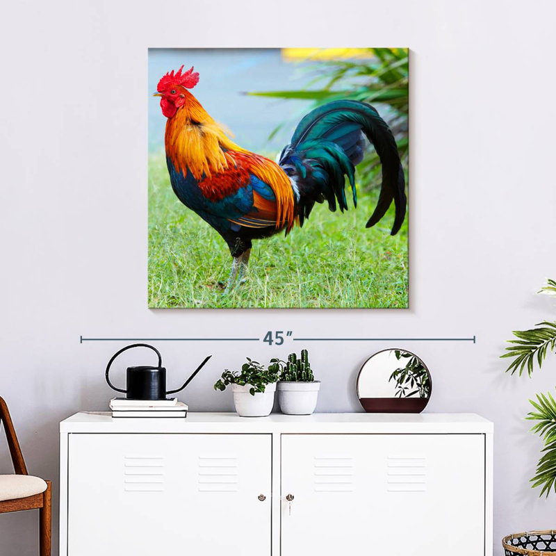Crowle coq sur l'herbe, H 30 po x l 30 po