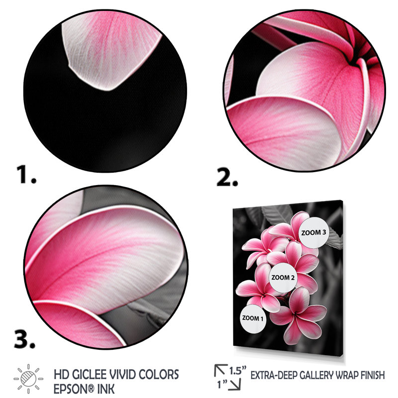 Plumeria Flower Paradise I - impressions sur toile florales et botaniques, H 20 po x l 12 po x P 1 po, Cadre photo noir