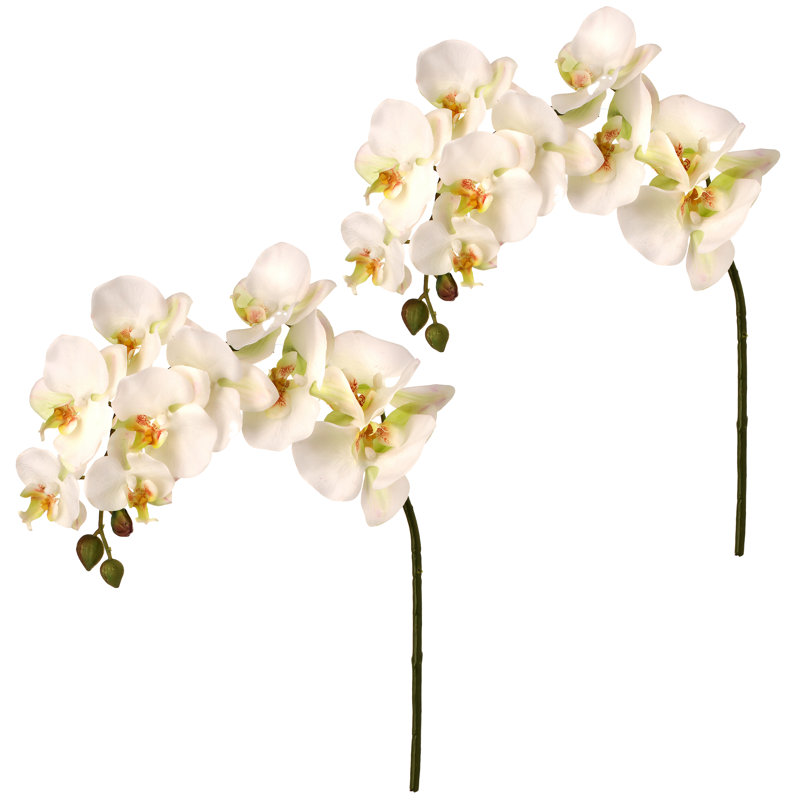 34" Pu Fancy Phaleanopsis Stem