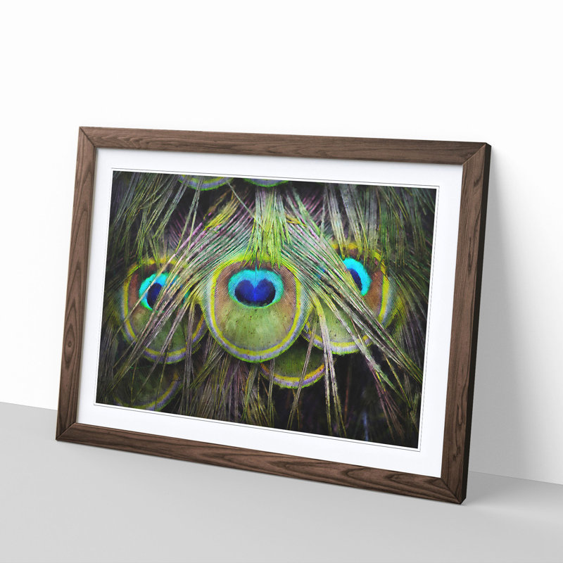 Peacock Feathers - Picture Frame Graphic Art Print, 62cm H x 87cm W x 2cm D, Walnut