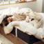 Édredon en duvet synthétique 100% coton à densité de tissage 400 fils et plus doux au toucher-100037948