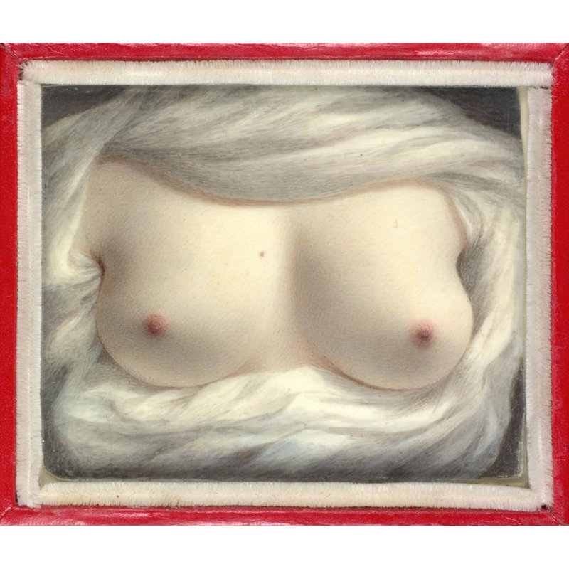 "Beauty Revealed" by  Sarah Goodridge - Gallery Wrap Canvas Wall Art, 24" H x 17" W