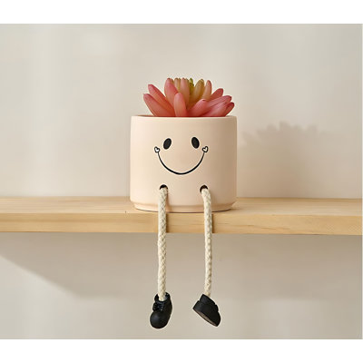 Plante grasse 3,93 po