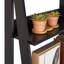 Aeden Ladder Bookcase-614858841