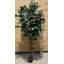 Fire Retardant Artificial Tree 180cm Faux Palm Tree in Pot Liner