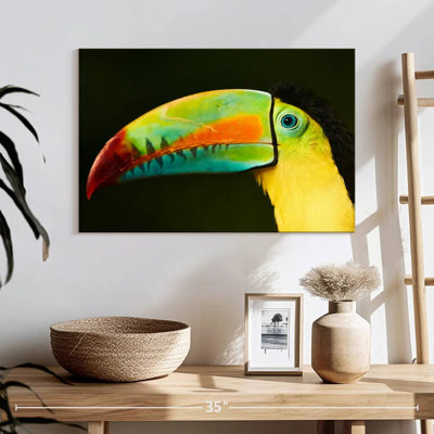 Brampt Toucan's Long Beak