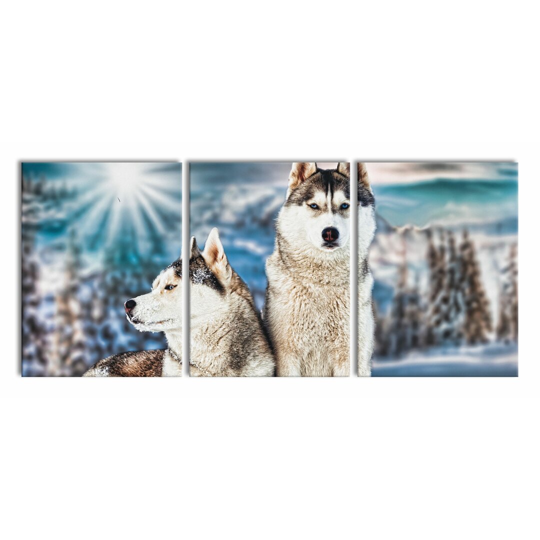 3-tlg. Leinwandbilder-Set Two Wild Huskies