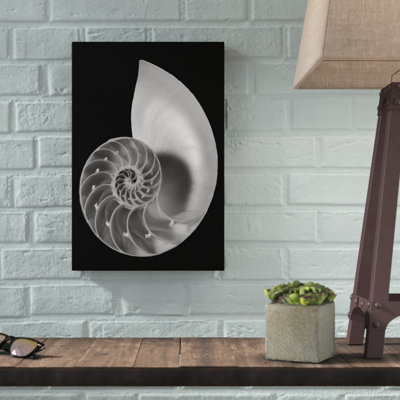 «Shell II», impression sur toile