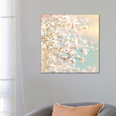 Sunlit Blossom - Wrapped Canvas Print