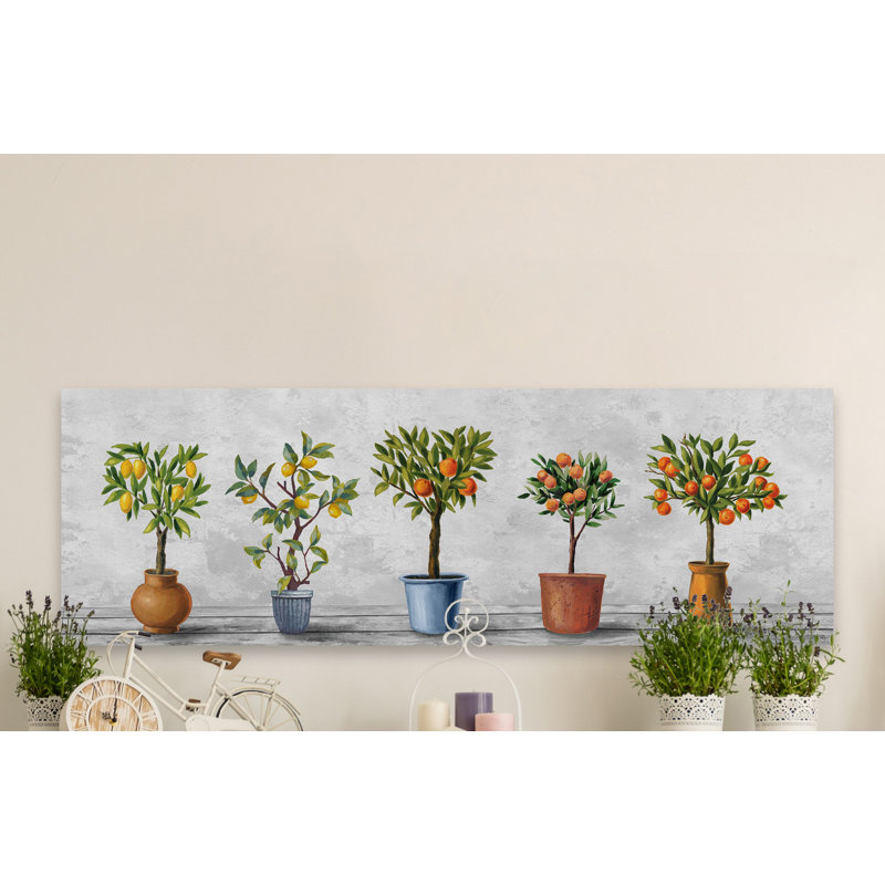 « photo lot de plantes »-impression sur toile tendue, H 15 po x l 45 po x P 1,5 po