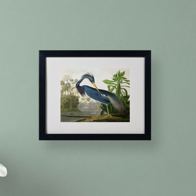 Art mural encadré - Décoration murale «Jamesiana Heron» par John James Audubon avec cadre mat - Art du salon, de la cuisine et de la salle de bain - 11 x 14