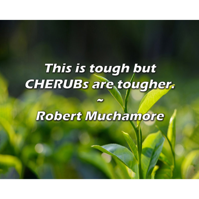 Robert Muchamore Citation: C'est difficile, mais les CHERUBs sont plus résistants., H 26 po x l 32 po