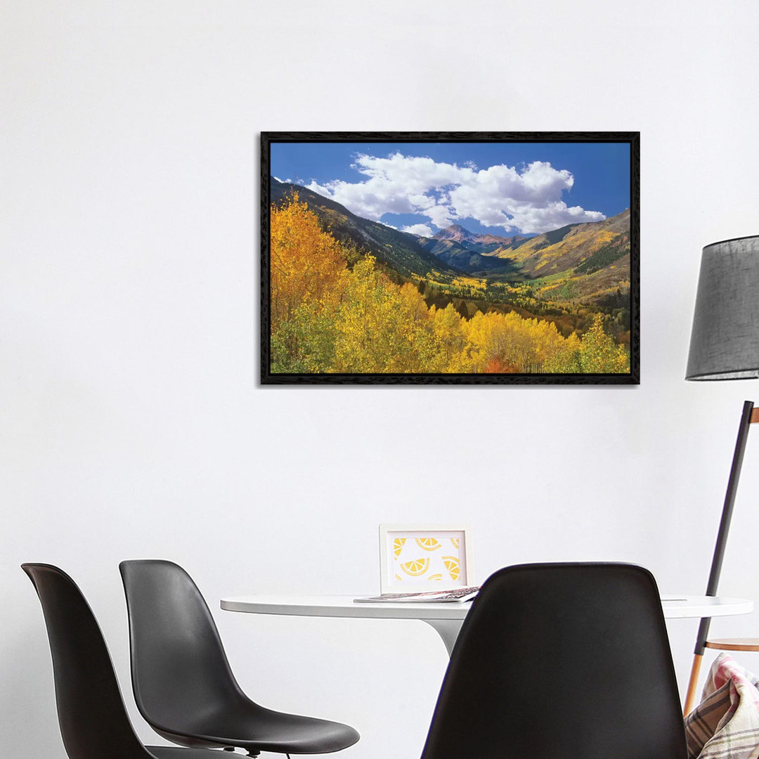 Haystack Mountain With Aspen Forest, Maroon Bells-Snowmass Wilderness, Colorado von Tim Fitzharris - Gallery-Wrapped Can...