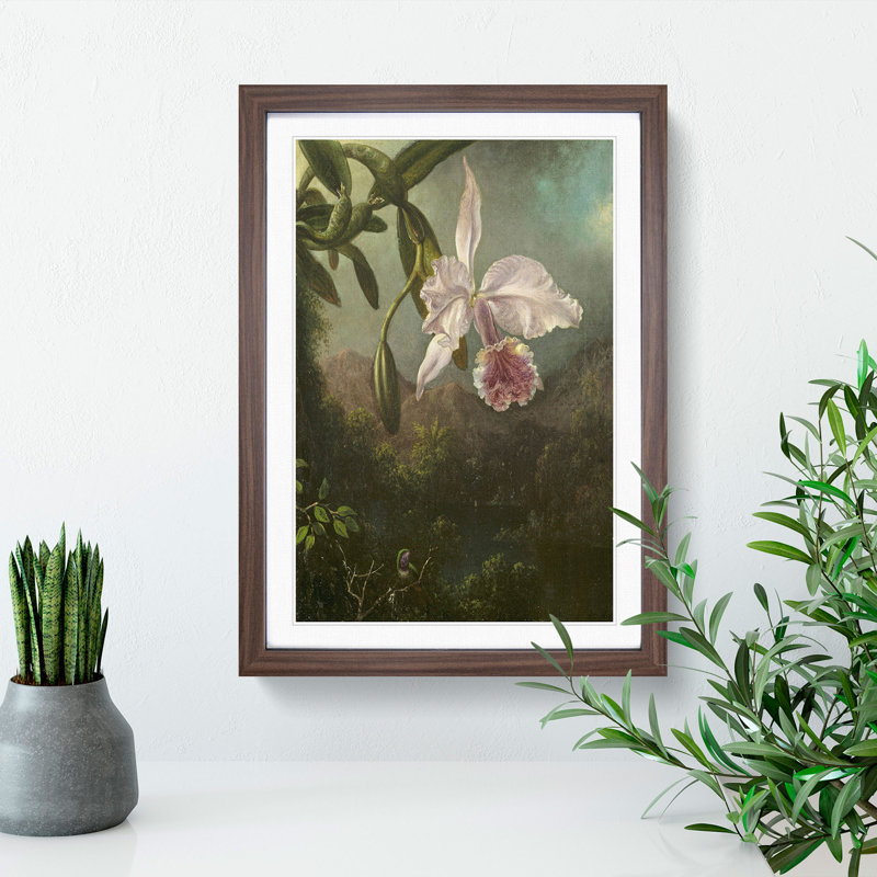 Orchid Blossoms by Martin Johnson Heade - Framed Print, 48cm H x 36cm W x 2cm D, Walnut Framed