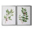 «Winter Botanical I», ensemble de 2 reproductions d'art-632441881-632441915-632441918