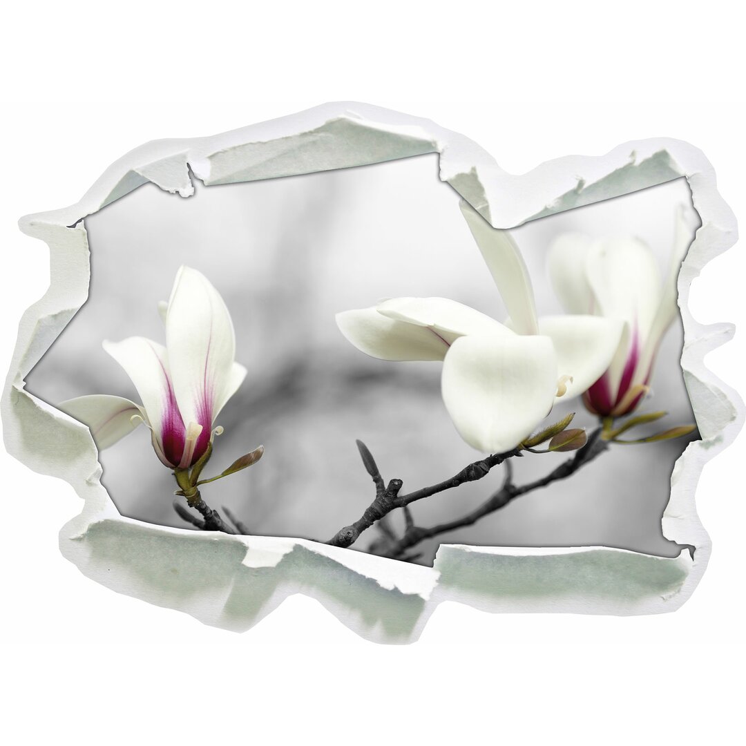 Weiße schöne Magnolienblüten am Baum Wandsticker