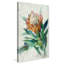 Protea - Peinture-1771372418-1771372439