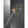 Rain Dual Shower Head with H2Okinetic Technology