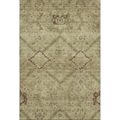 Premium Machine Washable Prisco Brown Rug