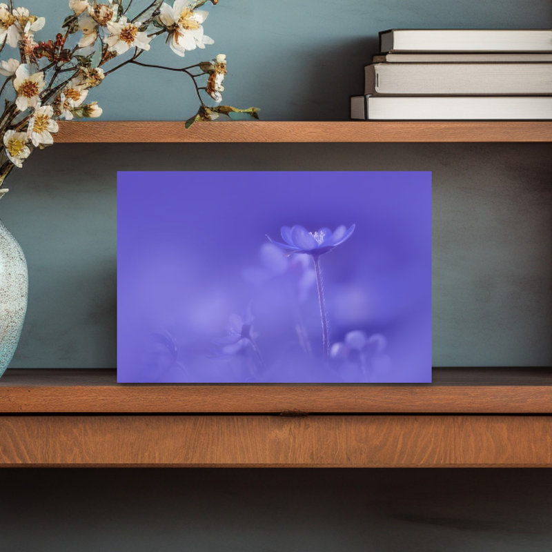 Delicate Purple Bloom Delicate Dreamy Ethereal Violet Flower Nature Wall Art Print 1 Piece Wrapped Canvas Wall Art