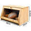 Descartes Bread Bin Food Storage Box