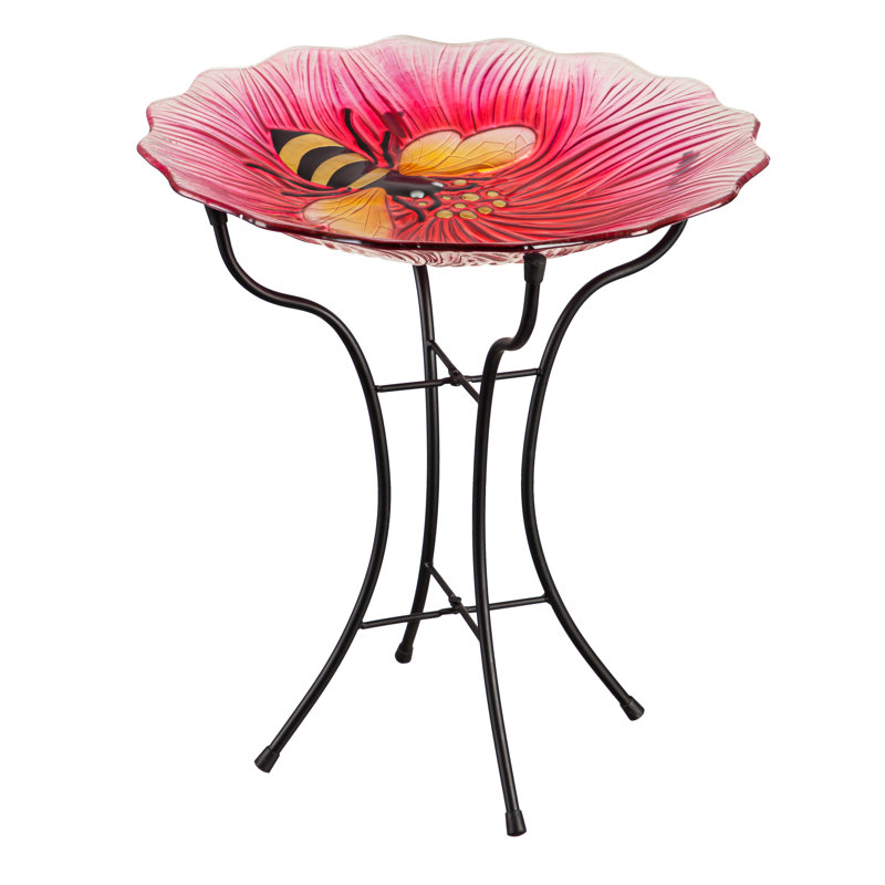 Amanjeet Glass Single Tier Birdbath