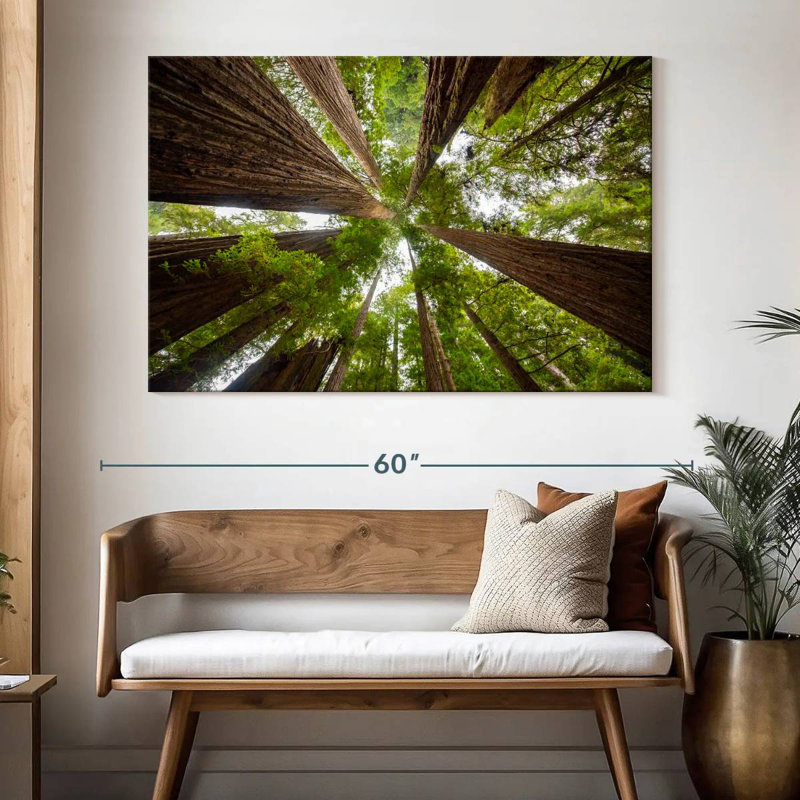 Arbres séquoia vertigineux Alvord, H 34 po x l 51 po