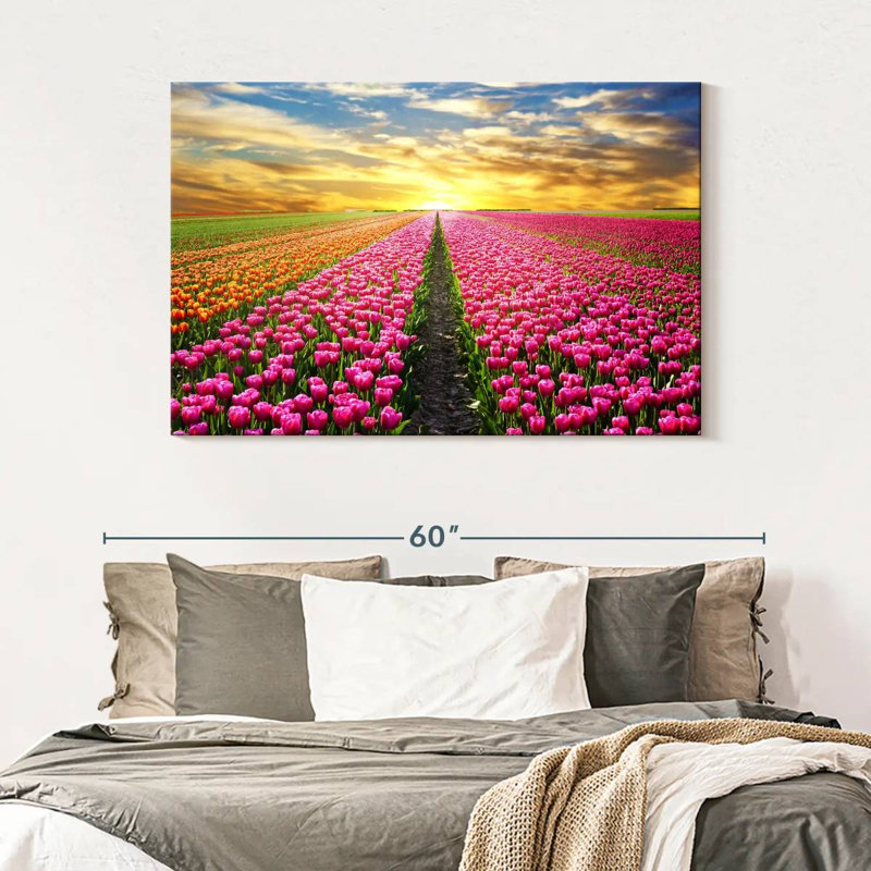 Champ de tulipes, H 32 po x l 48 po