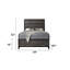 Lit standard Webster-1444323884